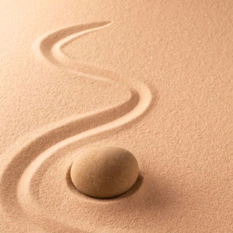 Mindfulness Experience